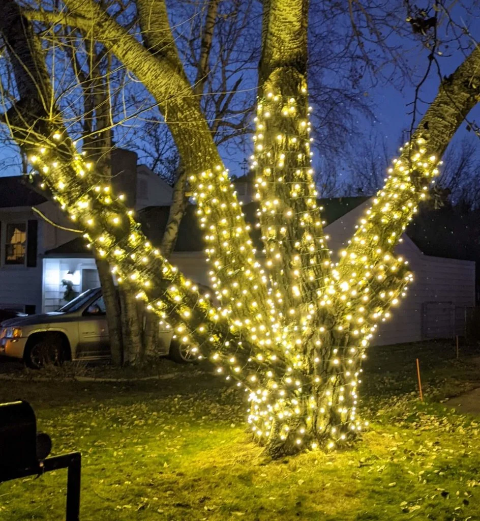 5mm Holiday Lighting