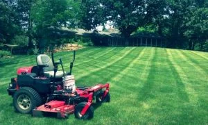 Edina, Bloomington, Richfield Burnsville Lawn Mowing